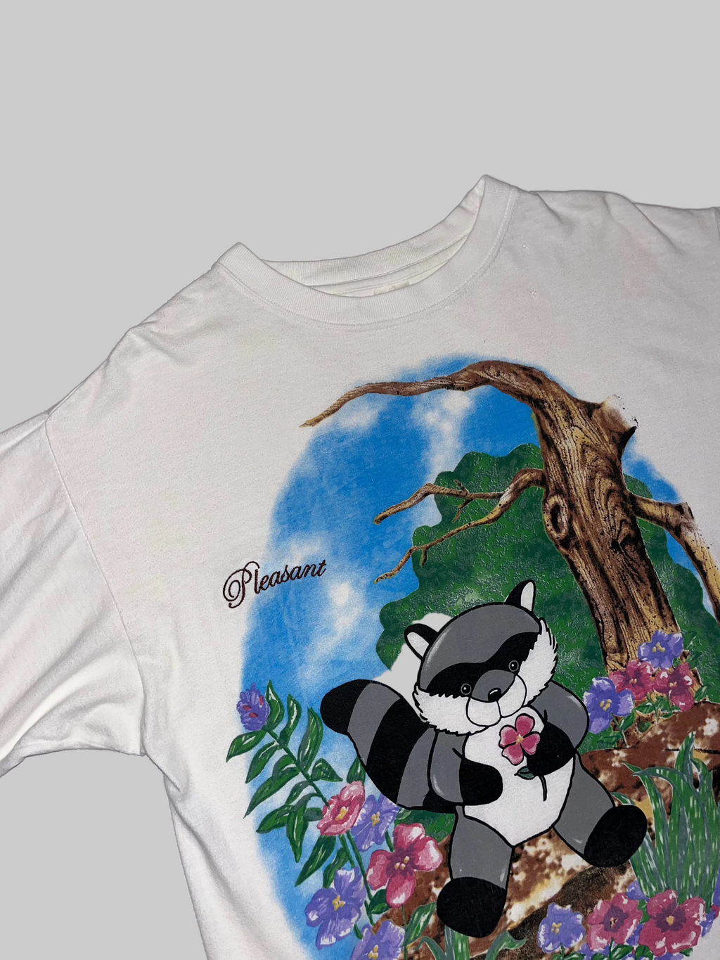 Classic Logo Raccoon T-Shirt